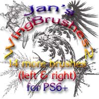 jans brushes 2